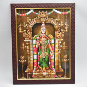 Sri Madurai Meenakshi Devi Photo (9x12 Inches)