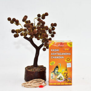 Kashi Ashtagandha Chandan - Bhawani Brand